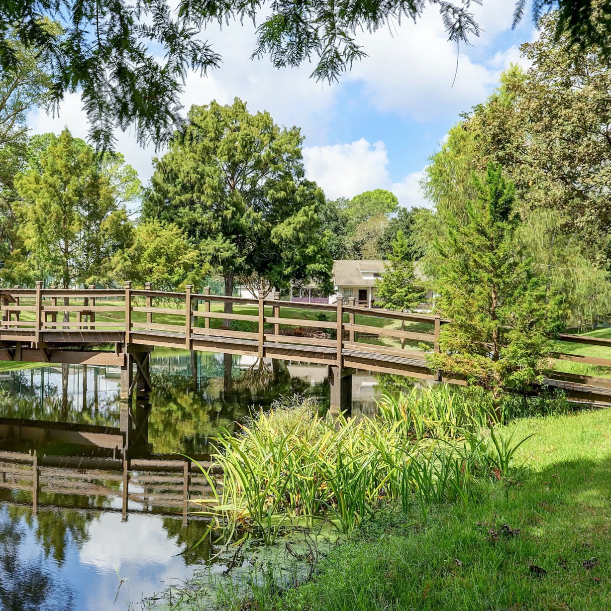 The Orchard On The Brazos Recovery, Wallis, Texas, 77485