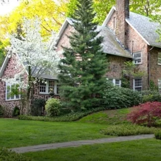 Turnbridge, New Haven, Connecticut, 06510