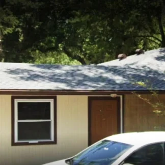 Metamorphosis, Gainesville, Florida, 32607