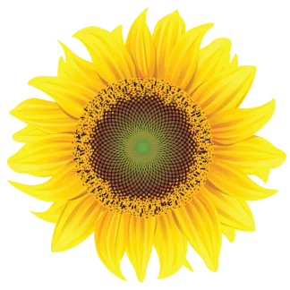 CooperRiis at Asheville, Asheville, North Carolina, 28801