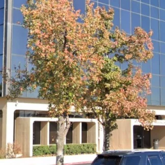 INTEGRIS Mental Health and Addiction Recovery Programs, Oklahoma City, Oklahoma, 73112