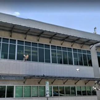 Front Steps, Austin, Texas, 78701