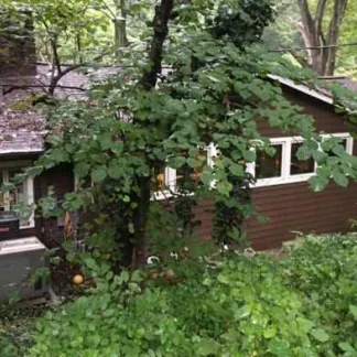 Adolescence to Adulthood Counseling, North Salt Lake, Utah, 84054