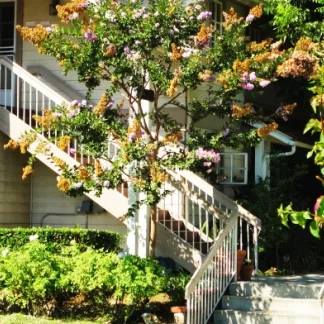 Casa de las Amigas - Drug and Alcohol Rehab for Women, Pasadena, California, 91101