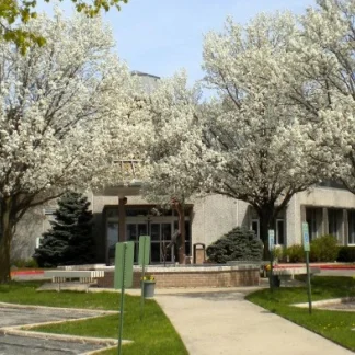 Lakeview Behavioral Health, Waterford, Wisconsin, 53185