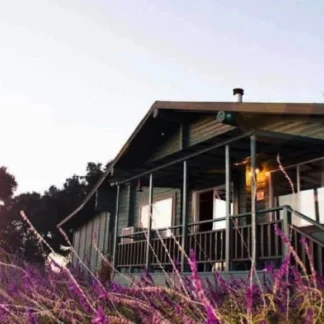 Elevate Addiction Services - Placerville, Placerville, California, 95667