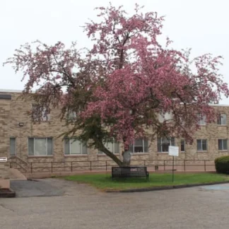 Catholic Charities - Crozier House, Worcester, Massachusetts, 01610