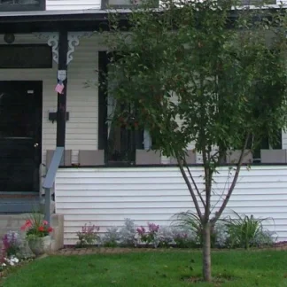 Recovery House - Grace House, Rutland, Vermont, 05701