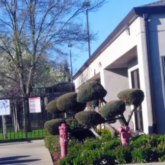 Doctors Medical Center - Behavioral Health, Modesto, California, 95355