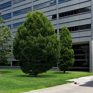 Apex Behavioral Health, Dearborn, Michigan, 48126