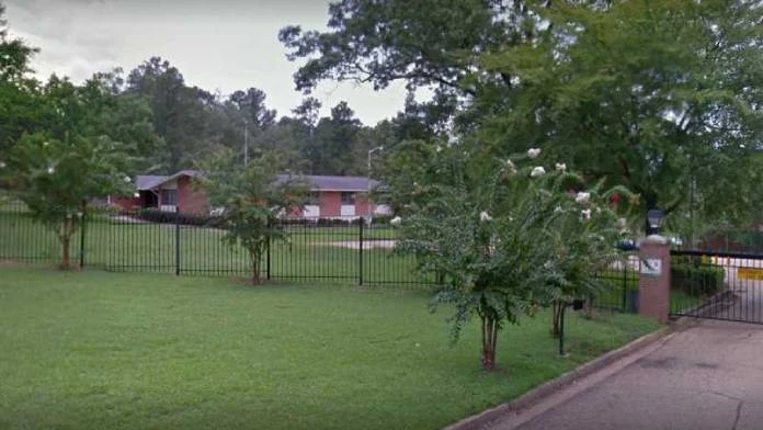 Born Free Primary Residential of Jackson
