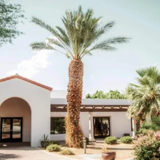 Private Solution Detox, Rancho Mirage, California, 92270