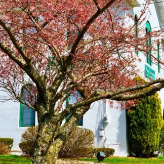 Counseling and Family Services, Wayne, New Jersey, 07470