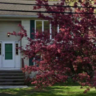 Klingberg Family Center, Plymouth, Connecticut, 06786