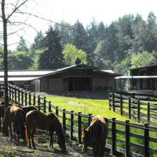 Alliance Counseling - The Center, Canby, Oregon, 97013