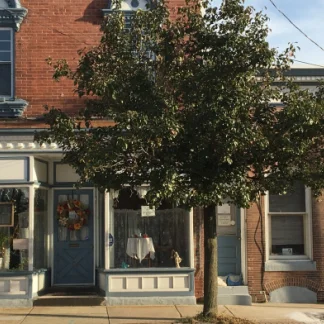 My Father's House, Gloucester City, New Jersey, 08030