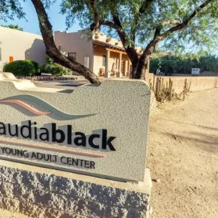 The Meadows - Claudia Black Young Adult Center, Wickenburg, Arizona, 85390