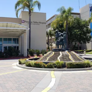 Paradise Valley Hospital - Behavioral Health, National City, California, 91950