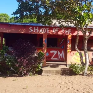 Shade of the Tree, Spirit Lake, Iowa, 51360