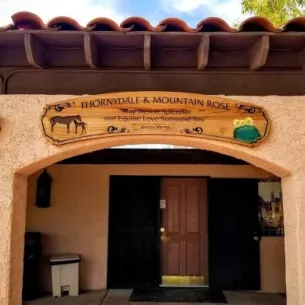 La Frontera Center - Thornydale Ranch, Tucson, Arizona, 85742