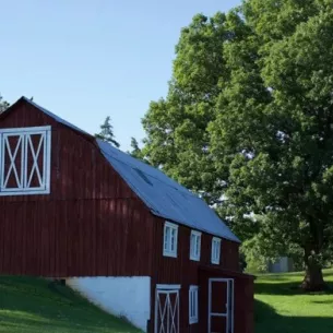 New Life for Youth - Men's Ranch, Beaverdam, Virginia, 23015