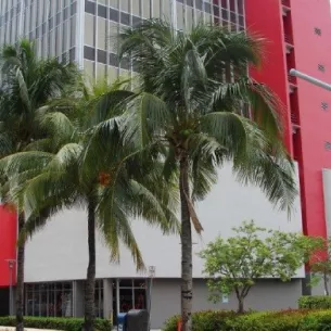 Douglas Gardens Mental Health Center, Miami Beach, Florida, 33139